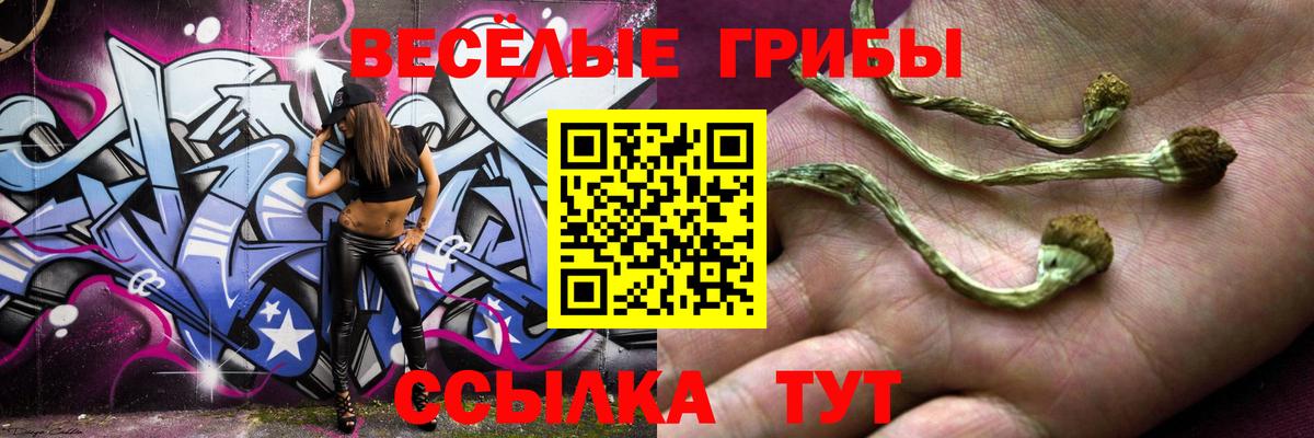 Галлюциногенные грибы прущие грибы  Вход с VPN  Псилоцибиновые грибы Psilocybine cubensis  Хасавюрт 