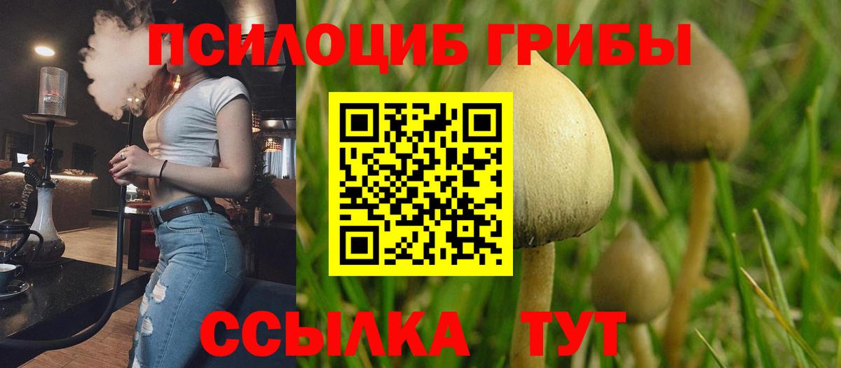 Галлюциногенные грибы мицелий Хасавюрт